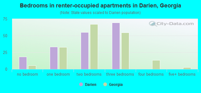 Bedrooms in renter-occupied apartments in Darien, Georgia