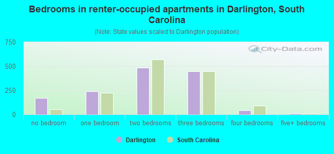 Bedrooms in renter-occupied apartments in Darlington, South Carolina