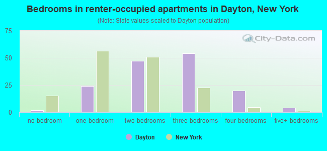 Bedrooms in renter-occupied apartments in Dayton, New York
