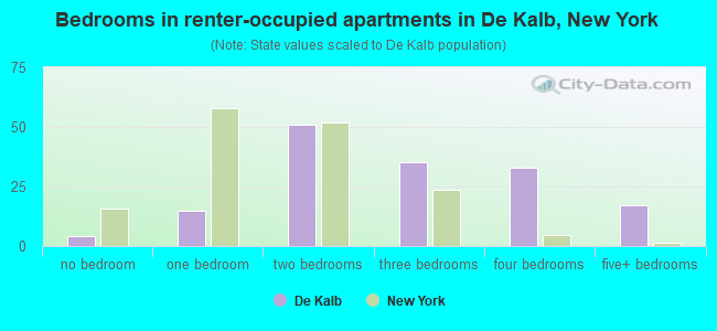 Bedrooms in renter-occupied apartments in De Kalb, New York