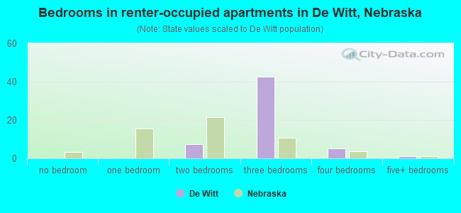 Bedrooms in renter-occupied apartments in De Witt, Nebraska