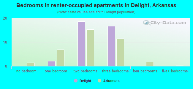 Bedrooms in renter-occupied apartments in Delight, Arkansas