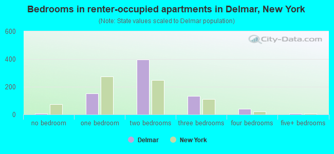 Bedrooms in renter-occupied apartments in Delmar, New York