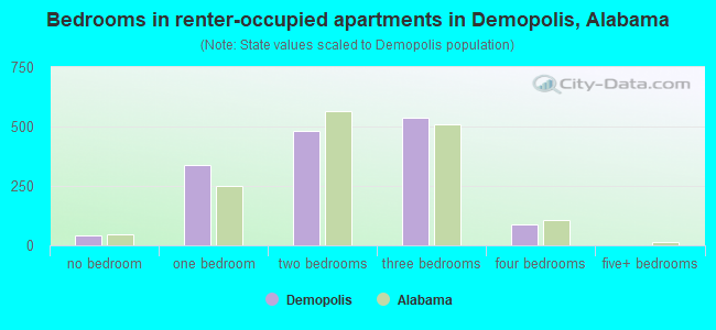 Bedrooms in renter-occupied apartments in Demopolis, Alabama