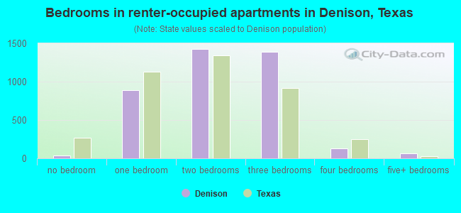 Bedrooms in renter-occupied apartments in Denison, Texas