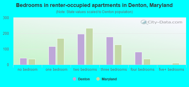 Bedrooms in renter-occupied apartments in Denton, Maryland