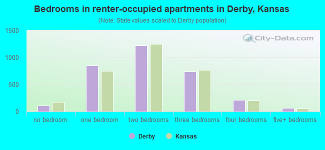 Bedrooms in renter-occupied apartments in Derby, Kansas