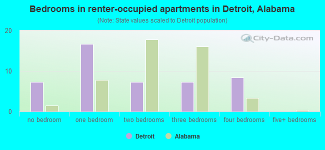 Bedrooms in renter-occupied apartments in Detroit, Alabama