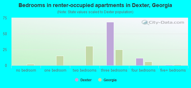 Bedrooms in renter-occupied apartments in Dexter, Georgia