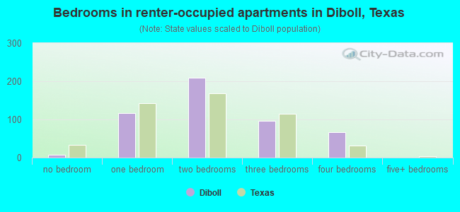 Bedrooms in renter-occupied apartments in Diboll, Texas