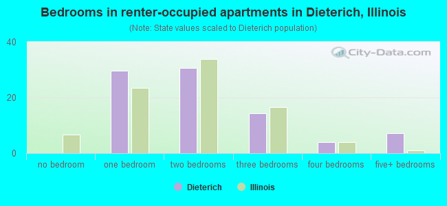 Bedrooms in renter-occupied apartments in Dieterich, Illinois
