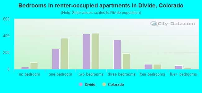 Bedrooms in renter-occupied apartments in Divide, Colorado