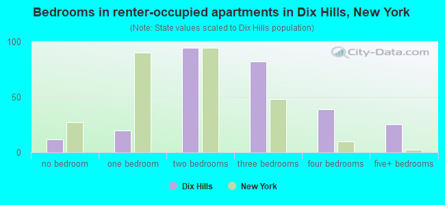 Bedrooms in renter-occupied apartments in Dix Hills, New York