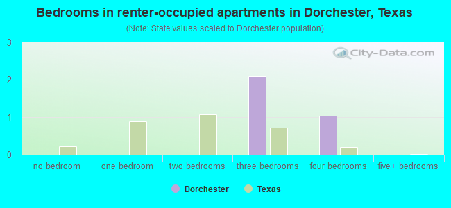 Bedrooms in renter-occupied apartments in Dorchester, Texas