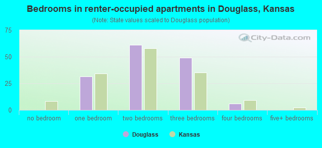 Bedrooms in renter-occupied apartments in Douglass, Kansas