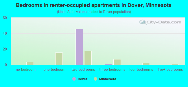 Bedrooms in renter-occupied apartments in Dover, Minnesota