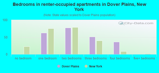 Bedrooms in renter-occupied apartments in Dover Plains, New York