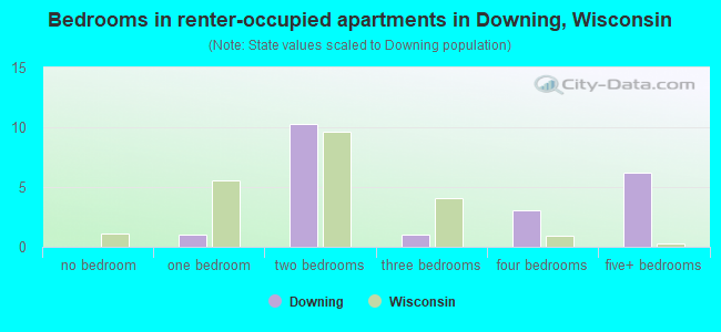 Bedrooms in renter-occupied apartments in Downing, Wisconsin