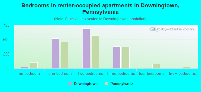 Bedrooms in renter-occupied apartments in Downingtown, Pennsylvania