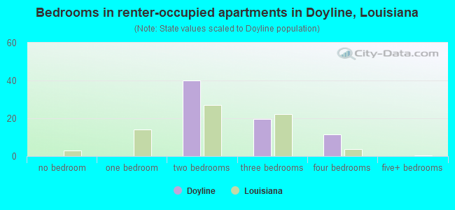 Bedrooms in renter-occupied apartments in Doyline, Louisiana
