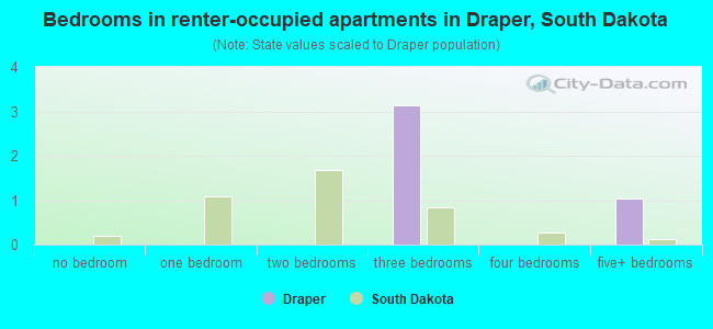 Bedrooms in renter-occupied apartments in Draper, South Dakota