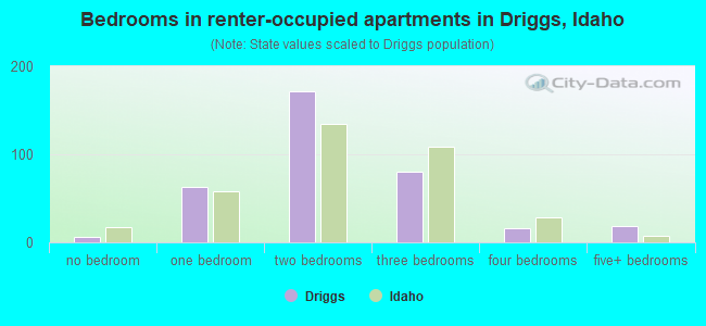 Bedrooms in renter-occupied apartments in Driggs, Idaho