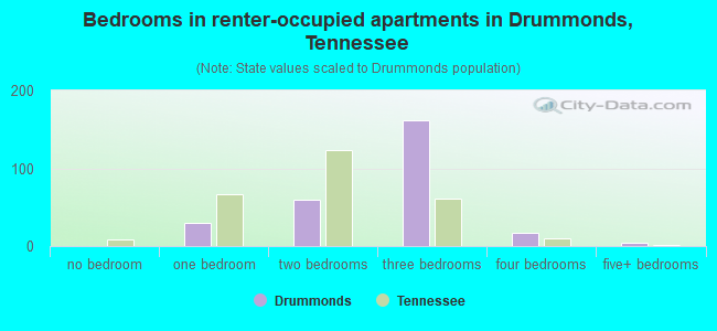 Bedrooms in renter-occupied apartments in Drummonds, Tennessee