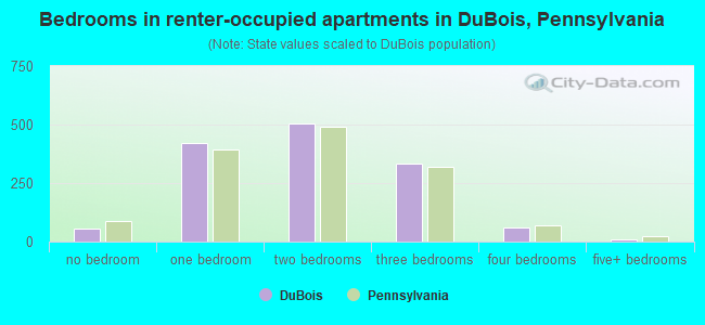 Bedrooms in renter-occupied apartments in DuBois, Pennsylvania