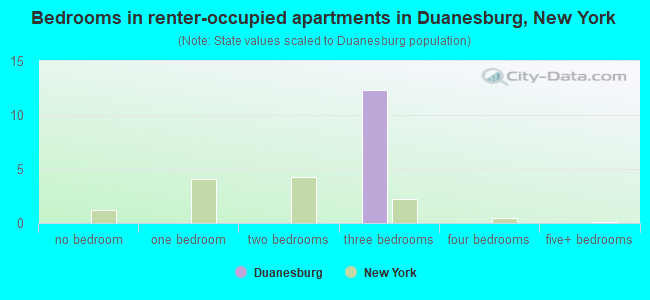 Bedrooms in renter-occupied apartments in Duanesburg, New York