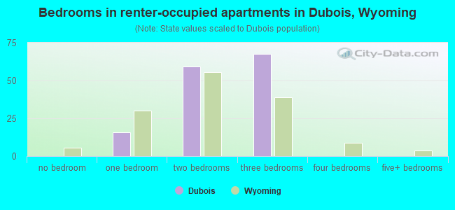 Bedrooms in renter-occupied apartments in Dubois, Wyoming
