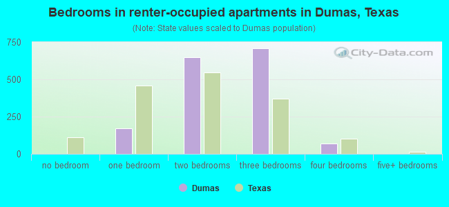 Bedrooms in renter-occupied apartments in Dumas, Texas