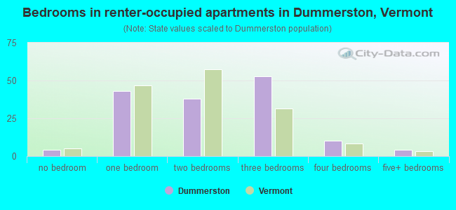 Bedrooms in renter-occupied apartments in Dummerston, Vermont