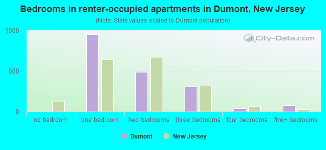 Bedrooms in renter-occupied apartments in Dumont, New Jersey