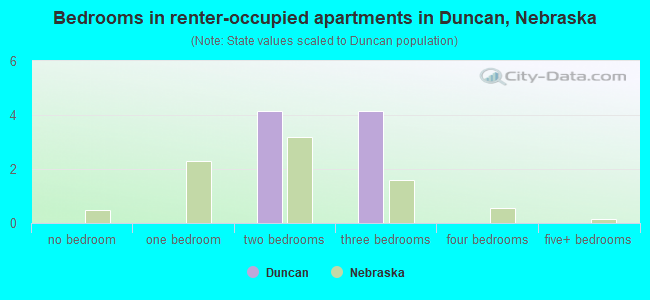 Bedrooms in renter-occupied apartments in Duncan, Nebraska