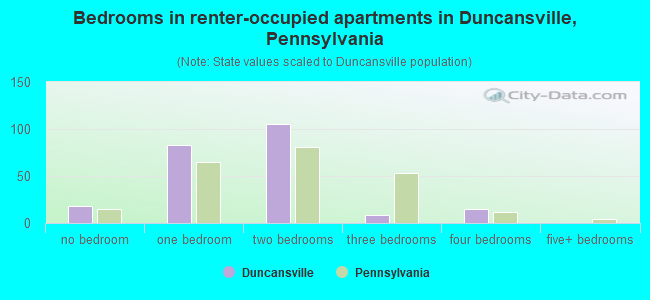 Bedrooms in renter-occupied apartments in Duncansville, Pennsylvania
