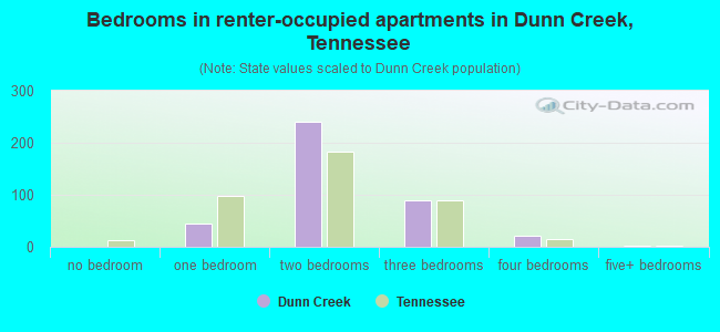 Bedrooms in renter-occupied apartments in Dunn Creek, Tennessee