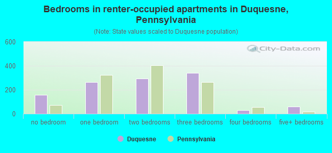 Bedrooms in renter-occupied apartments in Duquesne, Pennsylvania