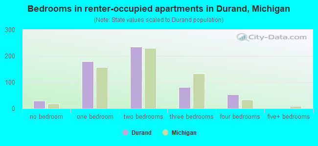 Bedrooms in renter-occupied apartments in Durand, Michigan