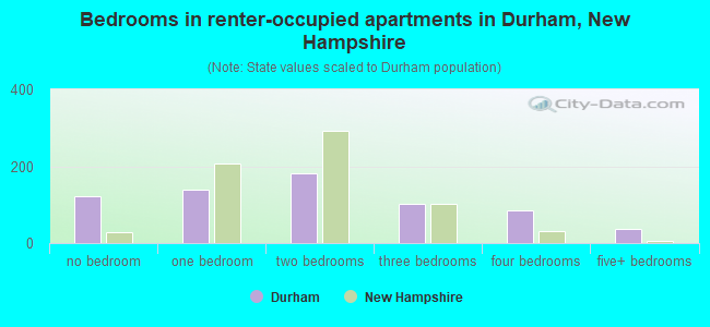 Bedrooms in renter-occupied apartments in Durham, New Hampshire