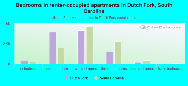 Bedrooms in renter-occupied apartments in Dutch Fork, South Carolina