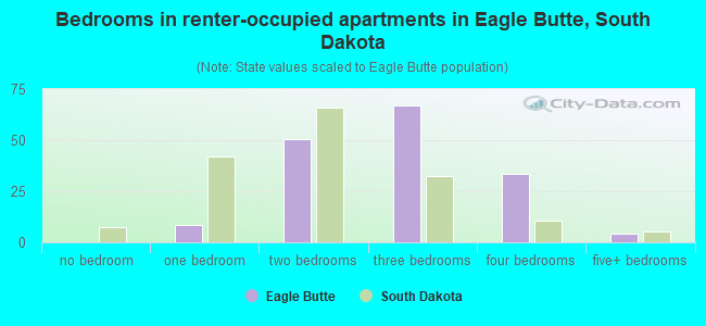 Bedrooms in renter-occupied apartments in Eagle Butte, South Dakota