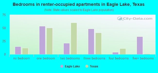 Bedrooms in renter-occupied apartments in Eagle Lake, Texas