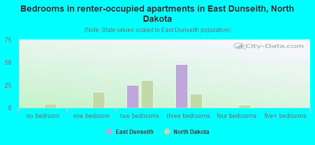 Bedrooms in renter-occupied apartments in East Dunseith, North Dakota