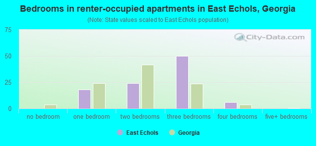 Bedrooms in renter-occupied apartments in East Echols, Georgia