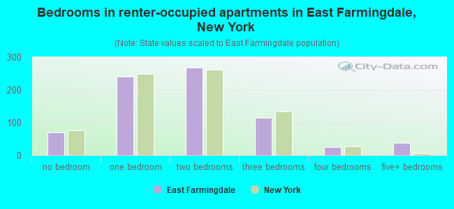 Bedrooms in renter-occupied apartments in East Farmingdale, New York