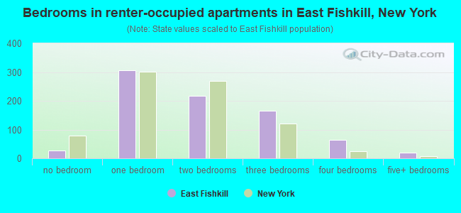 Bedrooms in renter-occupied apartments in East Fishkill, New York