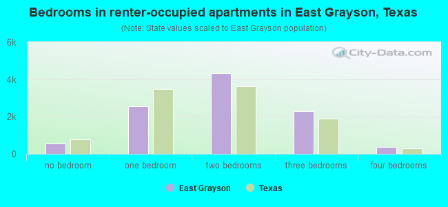 Bedrooms in renter-occupied apartments in East Grayson, Texas