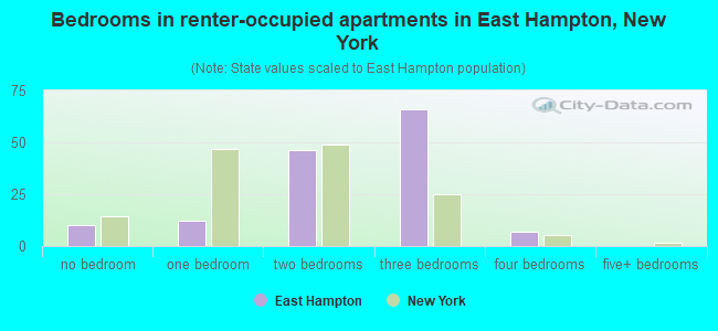 Bedrooms in renter-occupied apartments in East Hampton, New York