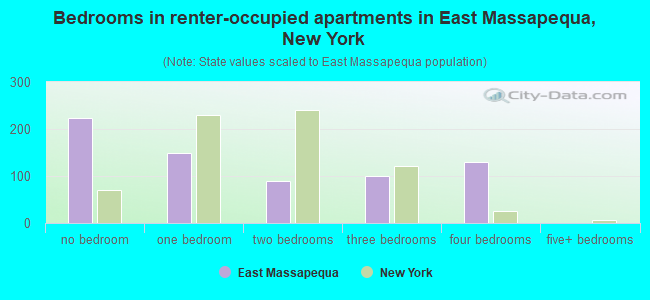 Bedrooms in renter-occupied apartments in East Massapequa, New York