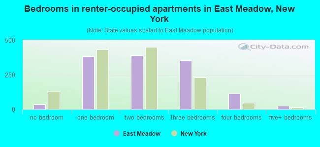 Bedrooms in renter-occupied apartments in East Meadow, New York